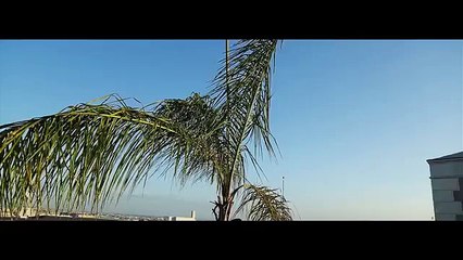 Bring me Drank - Key! & ManMan Savage