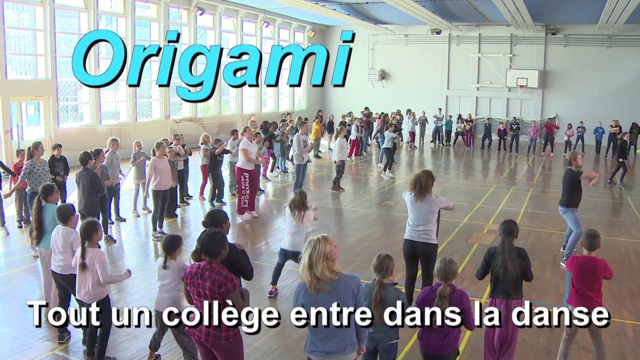 Projet Origami au collège Maxence Van der Meersch