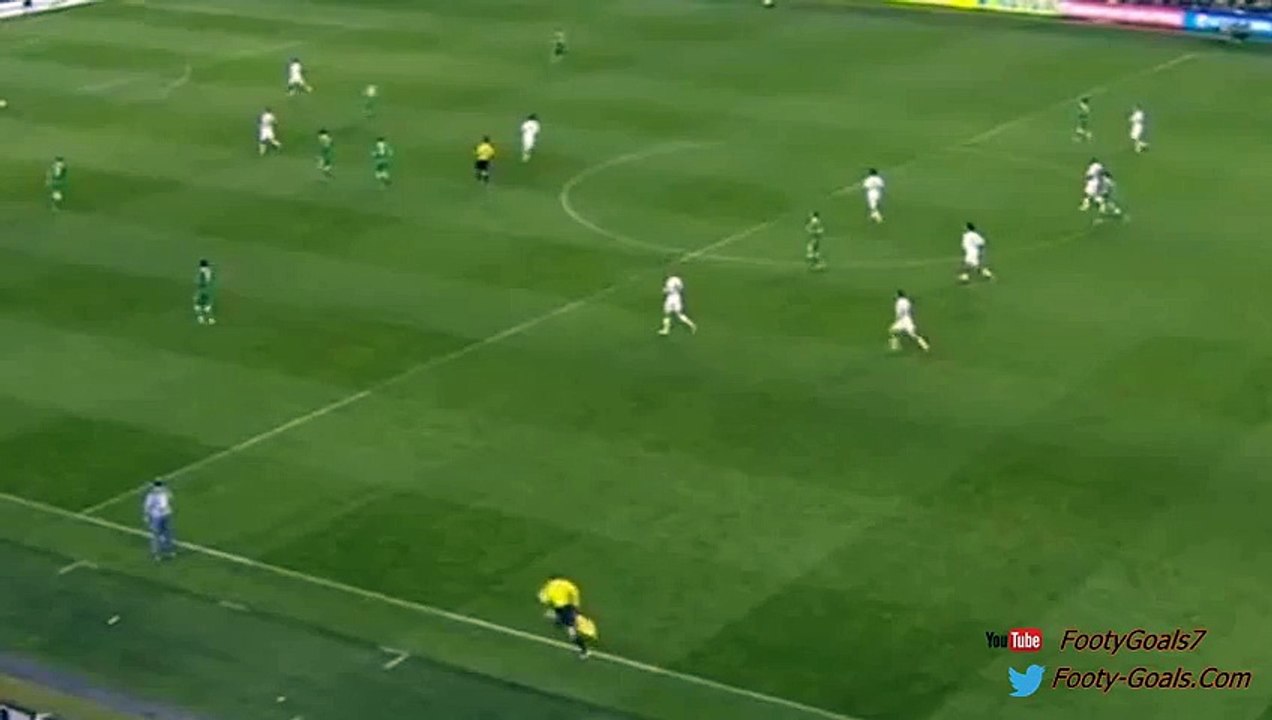 Shane Long Goal - Ireland vs Germany 1-0 (Qualification 2015)