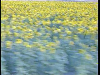 Ahmet Koç - Devlerin Aşkı