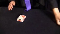 Reflected Deck by Henry Evans - Magic Trick
