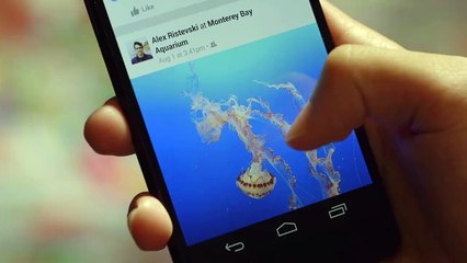 Facebook dislike button