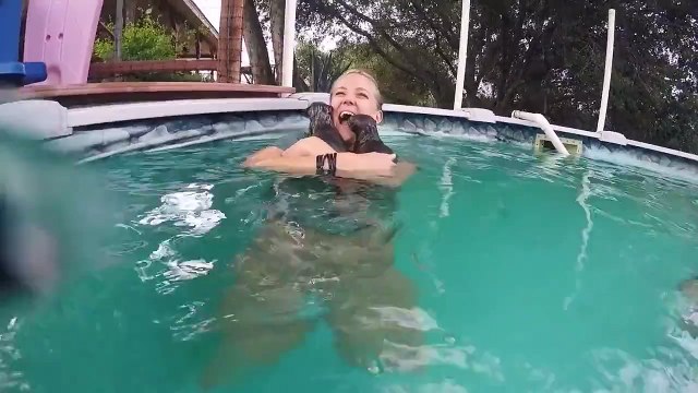 Une présentatrice se baigne avec des bébés loutres très câlines