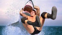 10 Randy Orton RKOs That Will Never Stop Being Funny
