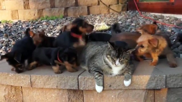 Вот , что значит выдержка)