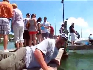 Ever Tried Hand Feeding Tarpon?