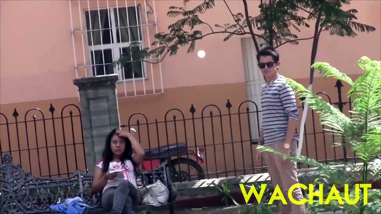 TROLLEO PÚBLICO 1