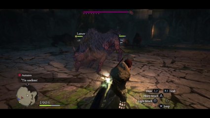 autumn spring lu apc test doghouse