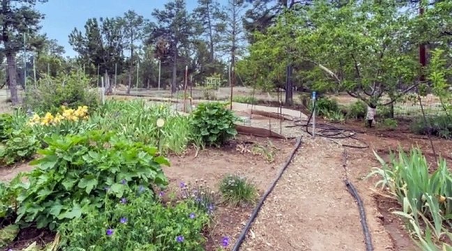 5004 Twin Oaks Loop Happy Jack AZ 86024