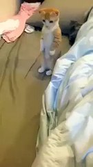 When you have to wait for the maid to finish cleaning your room