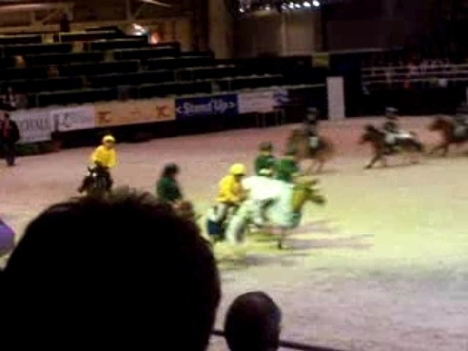 Tour d'honneur du cross shetland