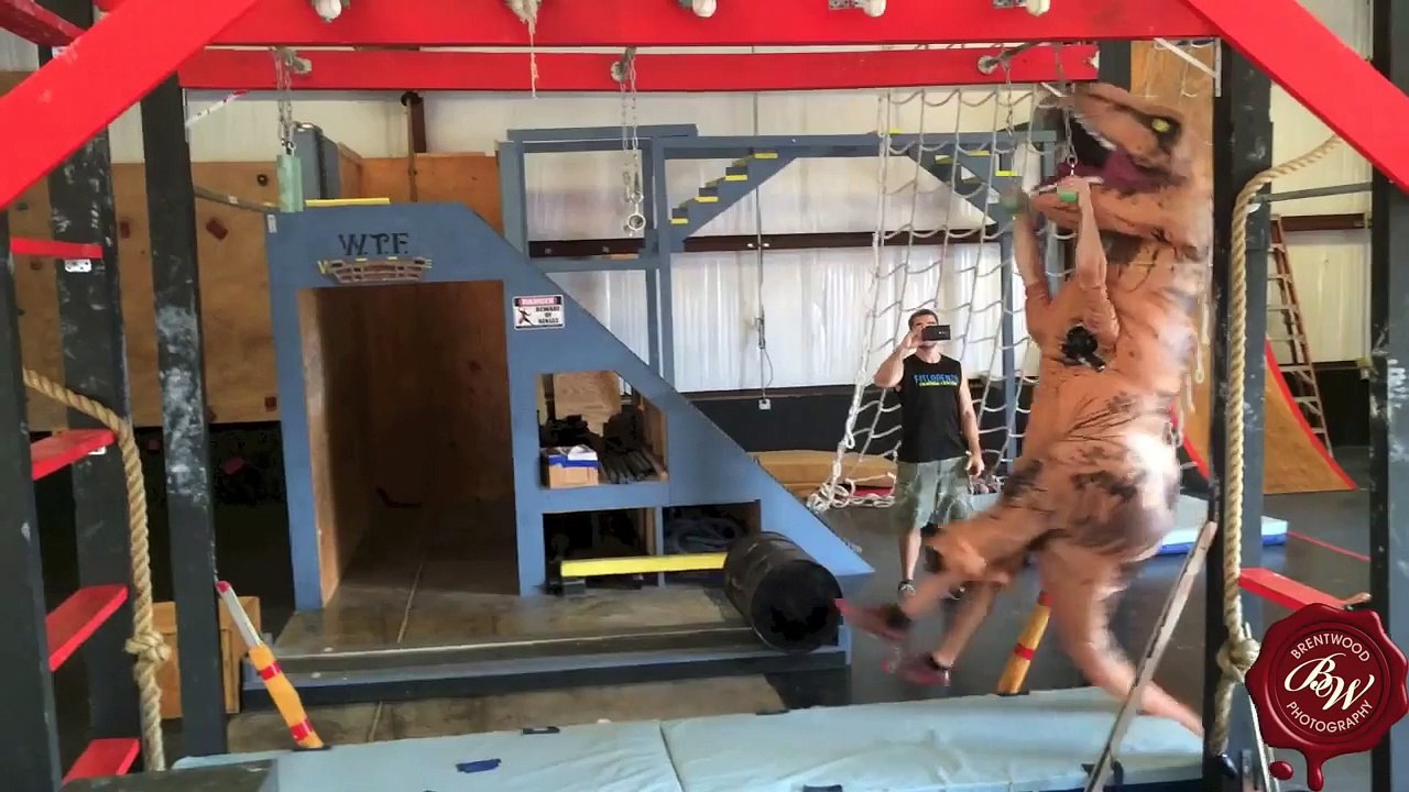 Un T-rex fait un parcours d'obstacles en mode Ninja