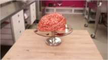 How to make the Walking Dead Brain Cake of your dreams for Halloween!