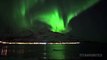Des baleines nagent, éclairées par une Aurore Boréale : moment magique en Norvège