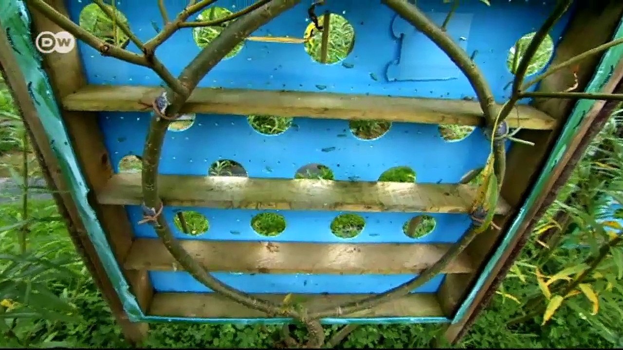 Hier wachsen Stühle: Möbel vom Feld | Euromaxx