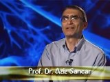 Nobel Ödüllü Türk Bilim Adamı Prf. Dr. Aziz Sancar'ın kısa hikayesi