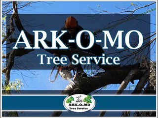 Effective Tree Removal Service Providers