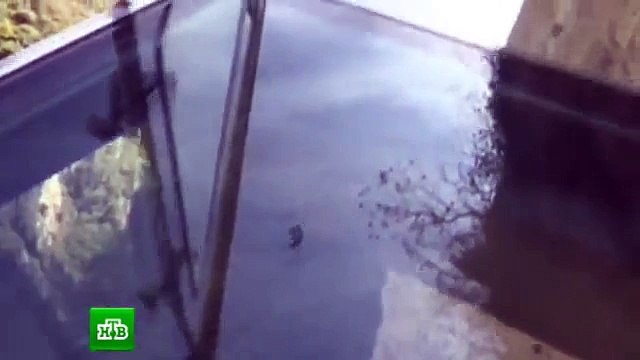 Мост из стекла над пропастью в Китае треснул под ногами неловкого туриста