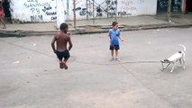 Au Brésil, des enfants jouent avec un chien à la corde à sauter !