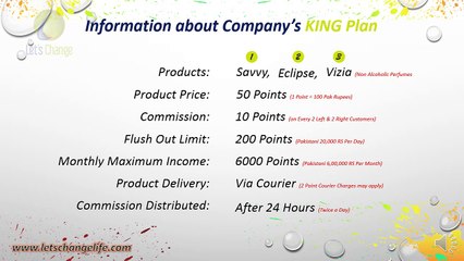 Let's Change Presentation Part 3/4 (Business Plan of Let's Change) by Gulsher