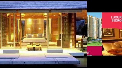 Amrapali Riverview Has Luxurious Apartments