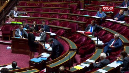 Droit des étrangers : point de désaccord entre les socialistes et le gouvernement durant le débat au Sénat
