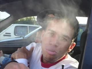 Lim & Alibi Montana - Traffic