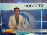 Томский ОНФ: Все припоселковые кедровники Томской области должны находиться на землях лесного фонда!