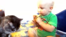Baby and Cat Together They Eating Bread