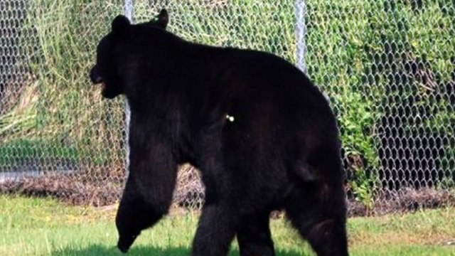 ЛЮДИ - ГЕРОИ