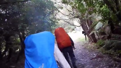 4 Français survivrent à l effondrement d un pont en Nouvelle-Zélande !