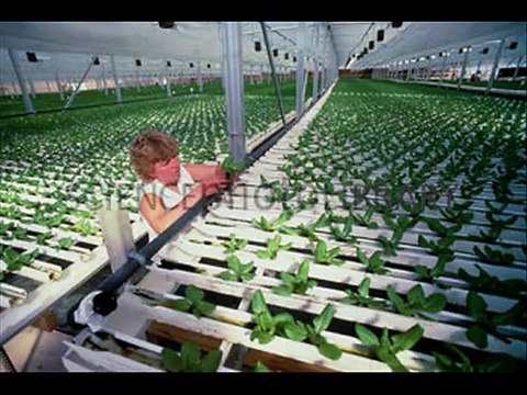 Trip of a Lifetime: Rafting the Glenwood Springs Colorado