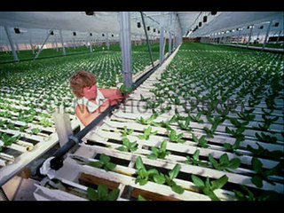 Best nutrients glenwood springs