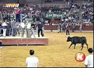animal funny clip video playit.pk dailymotion (1)