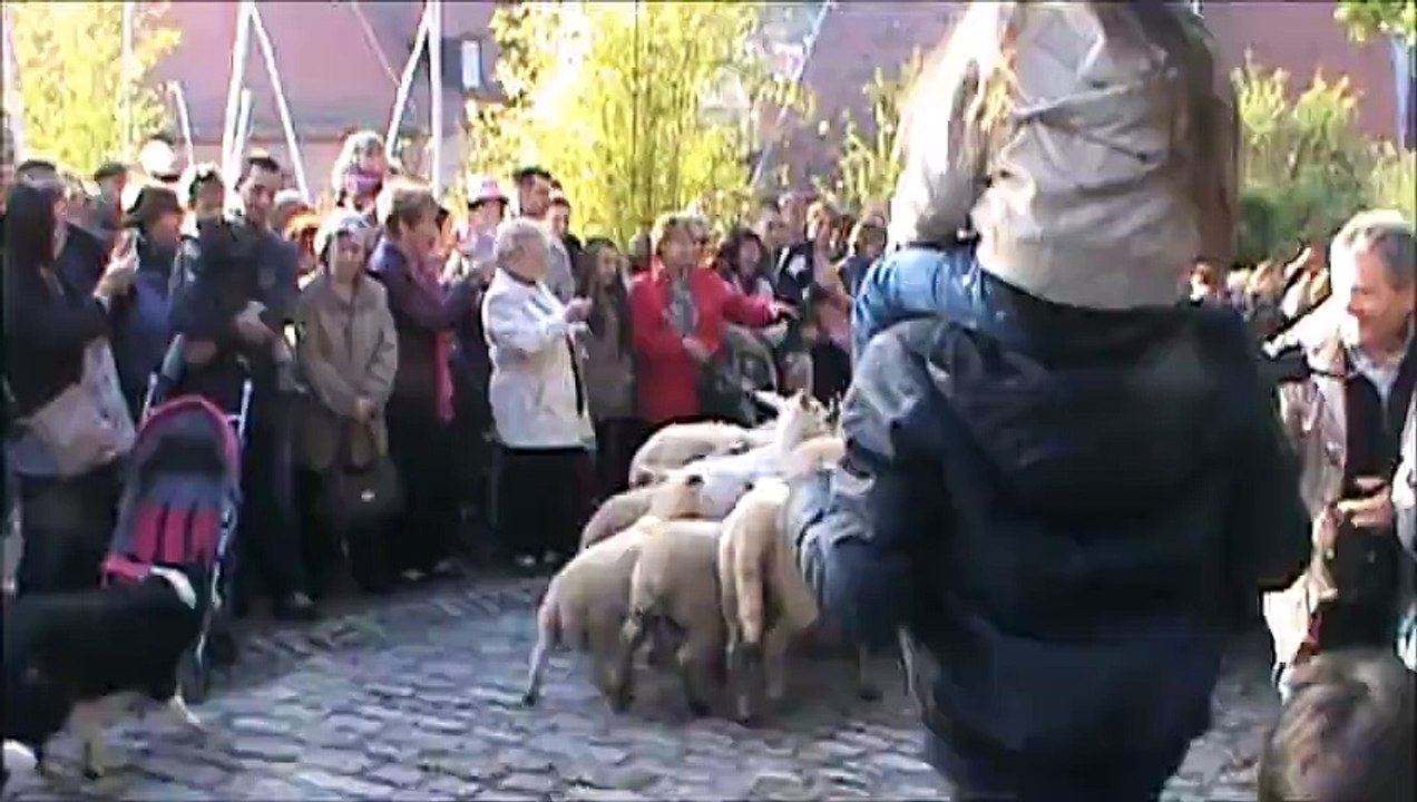 R-Bitche-Vidéo (La transhumances à la Citadelle de Bitche)