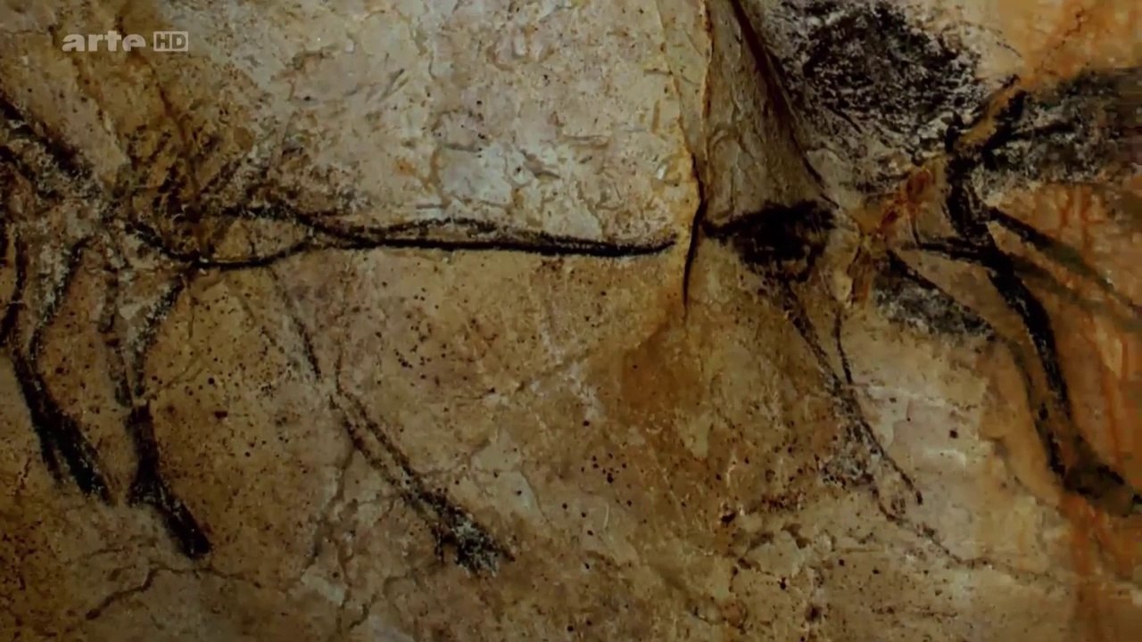 Extrait de "Quand Homo Sapiens faisait son cinéma"