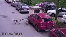 We Love Russia 2015 Russian Fail Compilation #54 Funniest Russian moment