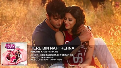 Tere Bin Nahi Rehna Full AUDIO Song - Ishq Ne Krazy Kiya Re - T-Series