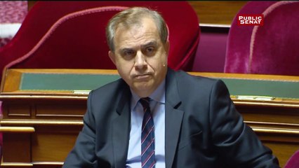 Immigration : débat sur les quotas au Sénat