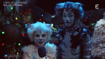 Alcaline, le Mag : Les news avec La Grande Sophie, Inna Modja et Cats le musical