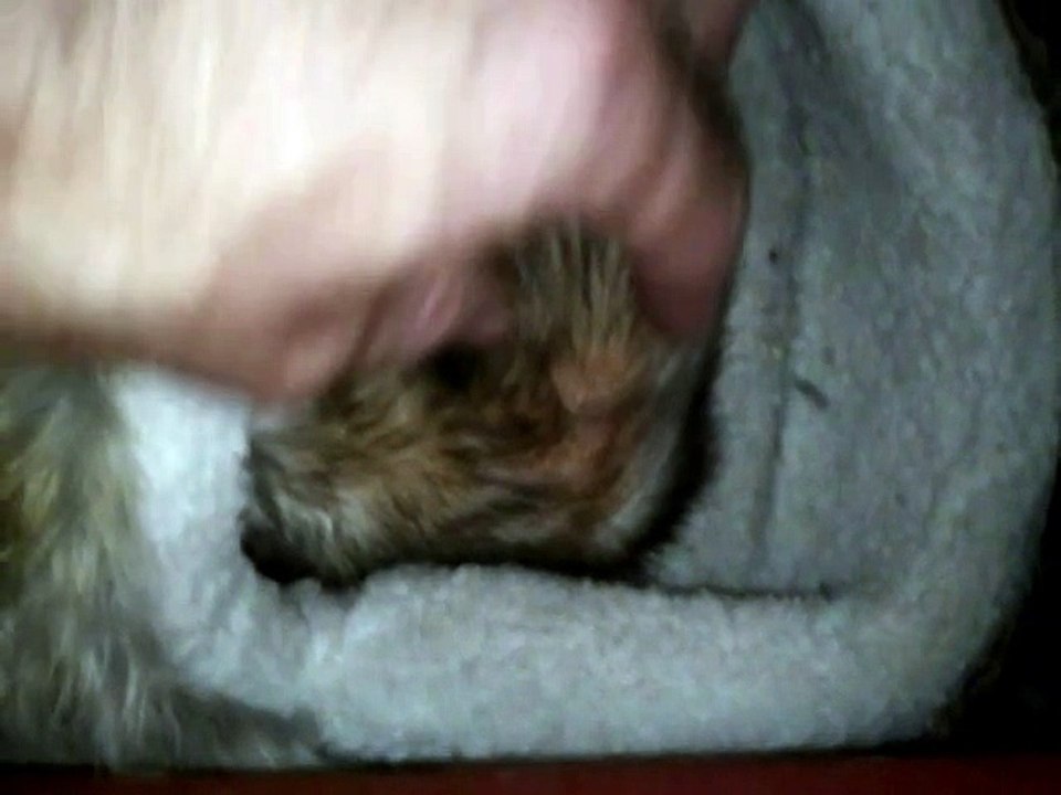 moment de calin avec bébés