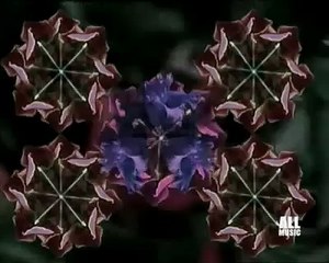 Giuliano Palma   Come le viole
