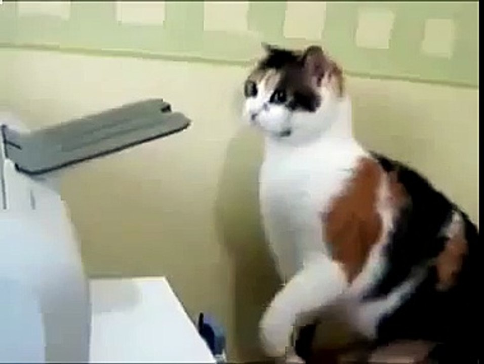 Soul Plane drôle de chat et l'imprimante!