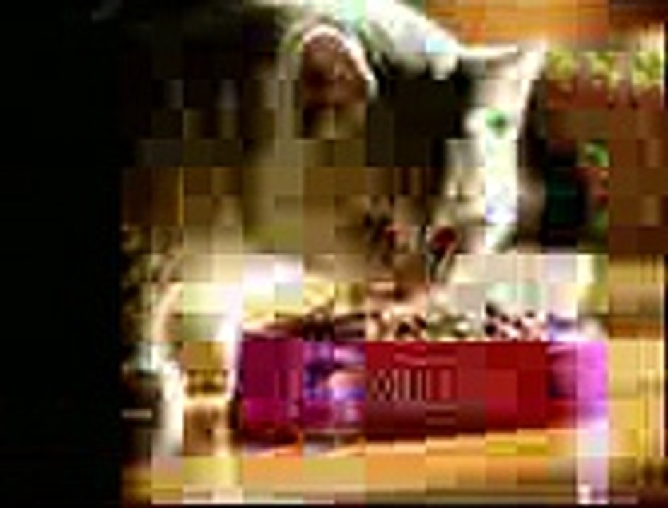 funny clips video playitpk (23)