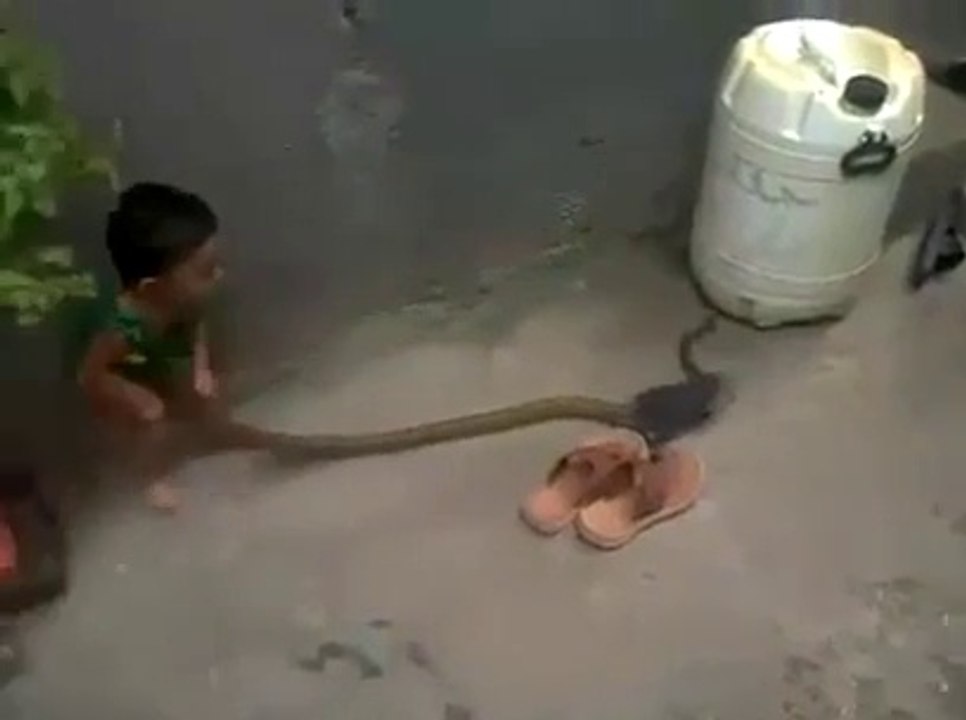 FEARLESS Toddler Play With A Snake
