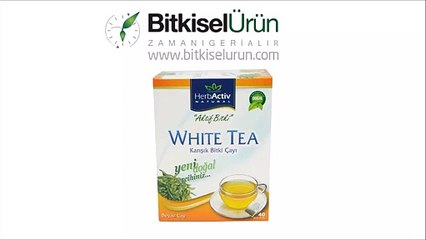 Beyaz Çay