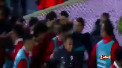 Eduardo Vargas Goal - Chile vs Brazil 2-0 HD 2015