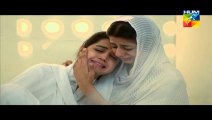 Ishq Ibadat Episode 42 HUM TV Drama 30 Sep 2015