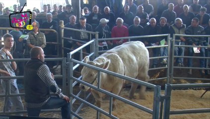 JT Agri85 TV du vendredi 9 octobre 2015