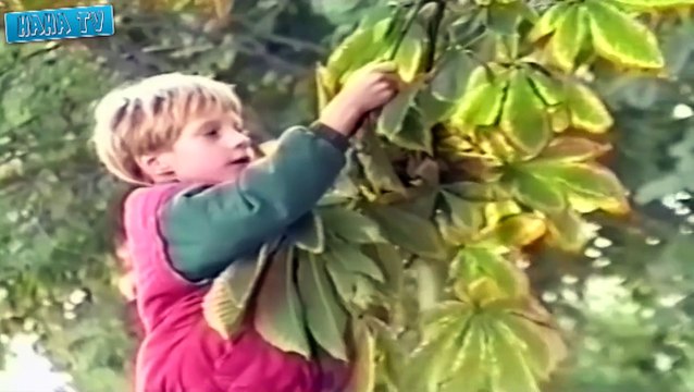 Fail Compilation 2015 Sexy Woman Funny Fail Videos 2015 Best Funny Home Videos